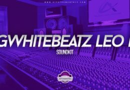 Bigwhite Beatz – Leo Kit Vol. 1 (Drumkit)