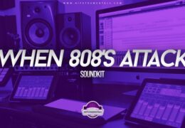 Sean Divine – When 808’s Attack Kit (Drumkit)