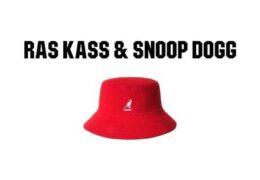 Ras Kass – LL Cool J (Instrumental) (Prod. By Felony Muzik)