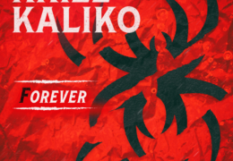 Krizz Kaliko – Drunk White Girls (Instrumental) (Prod. By Seven)
