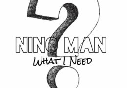 Nino Man – What I Need (Instrumental)
