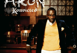 Akon – Don’t Matter (Instrumental) (Prod. By Akon)