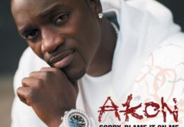Akon – Sorry Blame It On Me (Instrumental) (Prod. By Clinton Sparks)