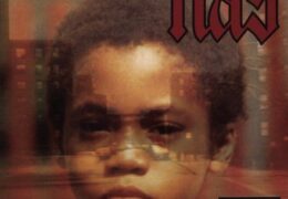 Nas – Halftime (Instrumental) (Prod. By Large Professor) | Throwback Thursdays