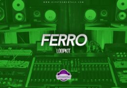 The Kit Plug - Ferro (Loopkit)