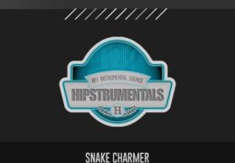 Original: SNAKE CHARMER (Prod. By James Gold Beats)