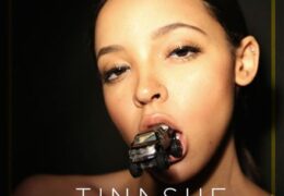 Tinashe – Ride Of Your Life (Instrumental) (Prod. By Metro Boomin)