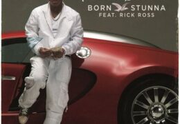 Birdman – Born Stunna (Instrumental) (Prod. By Beat Billionaire)
