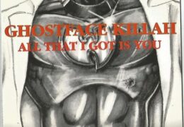 Ghostface Killah – All That I Got is You (Instrumental) (Prod. By RZA)