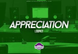 Daanmakesbeats - Appreciation (Loopkit)
