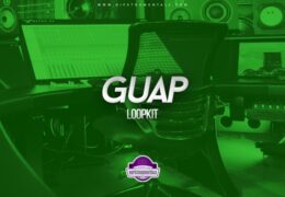 The Kit Plug - Guap (Loopkit)