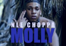 NLE Choppa – Molly (Instrumental) (Prod. By Chapo & CashMoneyAP)