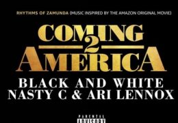 Nasty C & Ari Lennox – Black and White (Instrumental) (Prod. By Colin Gayle, Sipho Dlamini, Nasty C, Kevin Ross & J-Kits)