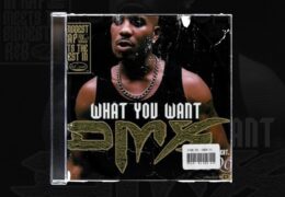 Sample Sundays | DMX – What They Really Want | Prod. By Dee Aye | #4