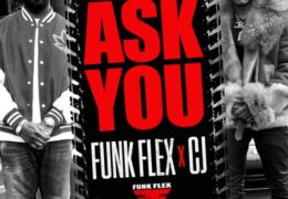 Funk Flex & CJ – Ask You (Instrumental) (Prod. By Yamaica)