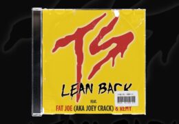 Sample Sundays | Fat Joe – Lean Back | Prod. By Dee Aye | #10