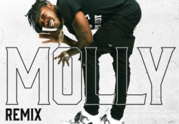 Foogiano – Molly (Remix) (Instrumental) (Prod. By Uno Reyes, Ace Bankz & 33Boomin)