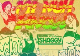 Shaggy – Mi Nu Know (Instrumental) (Prod. By Shane Hoosong)