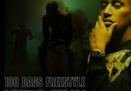 Yung Filly – 100 Bags (Freestyle) (Instrumental) (Prod. By Pivi, Gabriel Jin & ZEL)