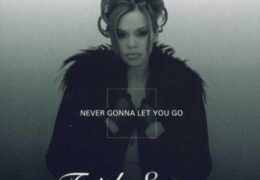 Faith Evans – Never Gonna Let You Go (Instrumental) (Prod. By Tavia Ivey, Kenya Ivey & Babyface)