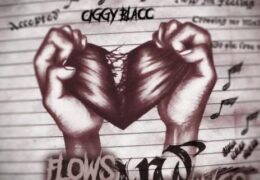 Ciggy Blacc – Last Last (Instrumental) (Prod. By LowkeyMali)