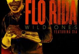 Flo Rida – Wild Ones (Instrumental) (Prod. By Nius, SoFLY, Axwell & DJ Frank E)