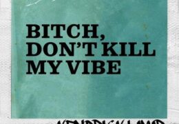 Kendrick Lamar – B*tch, Don’t Kill My Vibe (Instrumental) (Prod. By Sounwave)