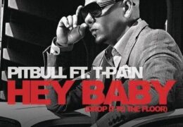 Pitbull – Hey Baby (Drop It To The Floor) (Instrumental) (Prod. By Sandy Vee)