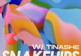 Snakehips & Tinashe – Who’s Gonna Love You Tonight (Instrumental) (Prod. By Snakehips, Joe Janiak & Nick Henriques)