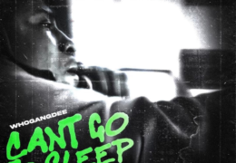 WHOGANGDEE – Can’t Go To Sleep (Instrumental) (Prod. By LLBeatzz & Mcosta)