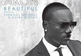 Akon – Beautiful (Instrumental) (Prod. By JAYLIEN & Akon)