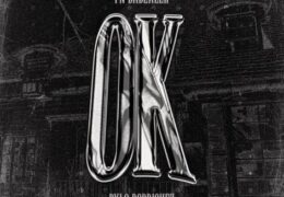 FN DaDealer – Ok (Instrumental) (Prod. By Clemsy Beats & AG)