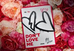 Roy Woods – Don’t Love Me (Instrumental) (Prod. By Up North & CRATER)