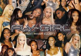 FLO & Missy Elliott – Fly Girl (Instrumental) (Prod. By MNEK, LiTek & WhYJay)