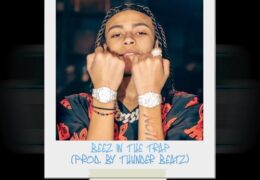 Original: Beez In The Trap (Prod. By Thunder Beatz)
