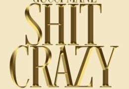Gucci Mane – Sh*t Crazy (Instrumental) (Prod. By 8 MAJOR, Twysted Genius & 30 Roc)