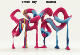 Omah Lay & Ozuna – Soso (Instrumental) (Prod. By Tempoe, Yazid Rivera & Dynell)