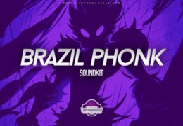 Brazil Phonk Collection (Soundkit)
