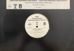2pac – Thugz Mansion (Instrumental) (Prod. By 7 Aurelius & Kon Artis)
