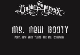 Bubba Sparxxx – Ms. New Booty (Instrumental) (Prod. By Mr. Collipark)