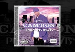 Sample Sundays | Cam’ron – Down & Out | Prod. By Dee Aye | #11