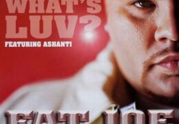 Fat Joe – What’s Luv? (Instrumental) (Prod. By Chink Santana & Irv Gotti)