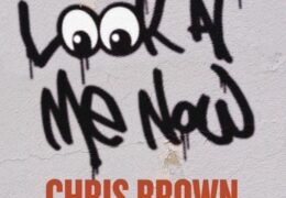 Chris Brown – Look At Me Now (Instrumental) (Prod. By Free School, Diplo & AFROJACK)