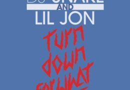 DJ Snake & Lil Jon – Turn Down For What (Instrumental) (Prod. By DJ Snake & Tchami)