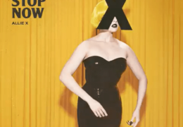 Allie X – Can’t Stop Now (Instrumental) (Prod. By Chiiild)
