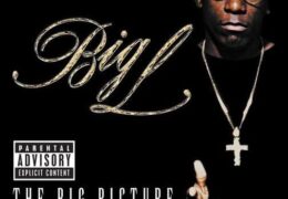 Big L – Platinum Plus (Instrumental) (Prod. By DJ Premier)