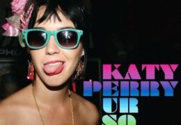 Katy Perry – Ur So Gay (Instrumental) (Prod. By Greg Wells)