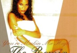 Toni Braxton – You’re Makin’ Me High (Instrumental) (Prod. By Bryce Wilson & Babyface)