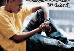 Chris Brown – Say Goodbye (Instrumental) (Prod. By Bryan-Michael Cox)