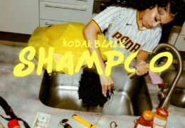 Kodak Black – Shampoo (Instrumental) (Prod. By Dzy & Dyryk)